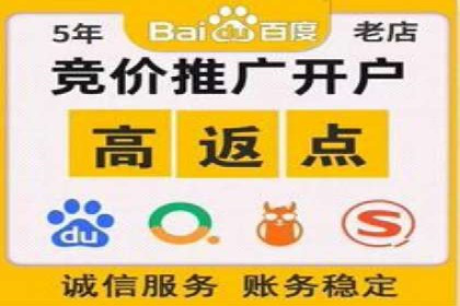 SEM搜索引擎优化案例：如何提升网站流量和转化率